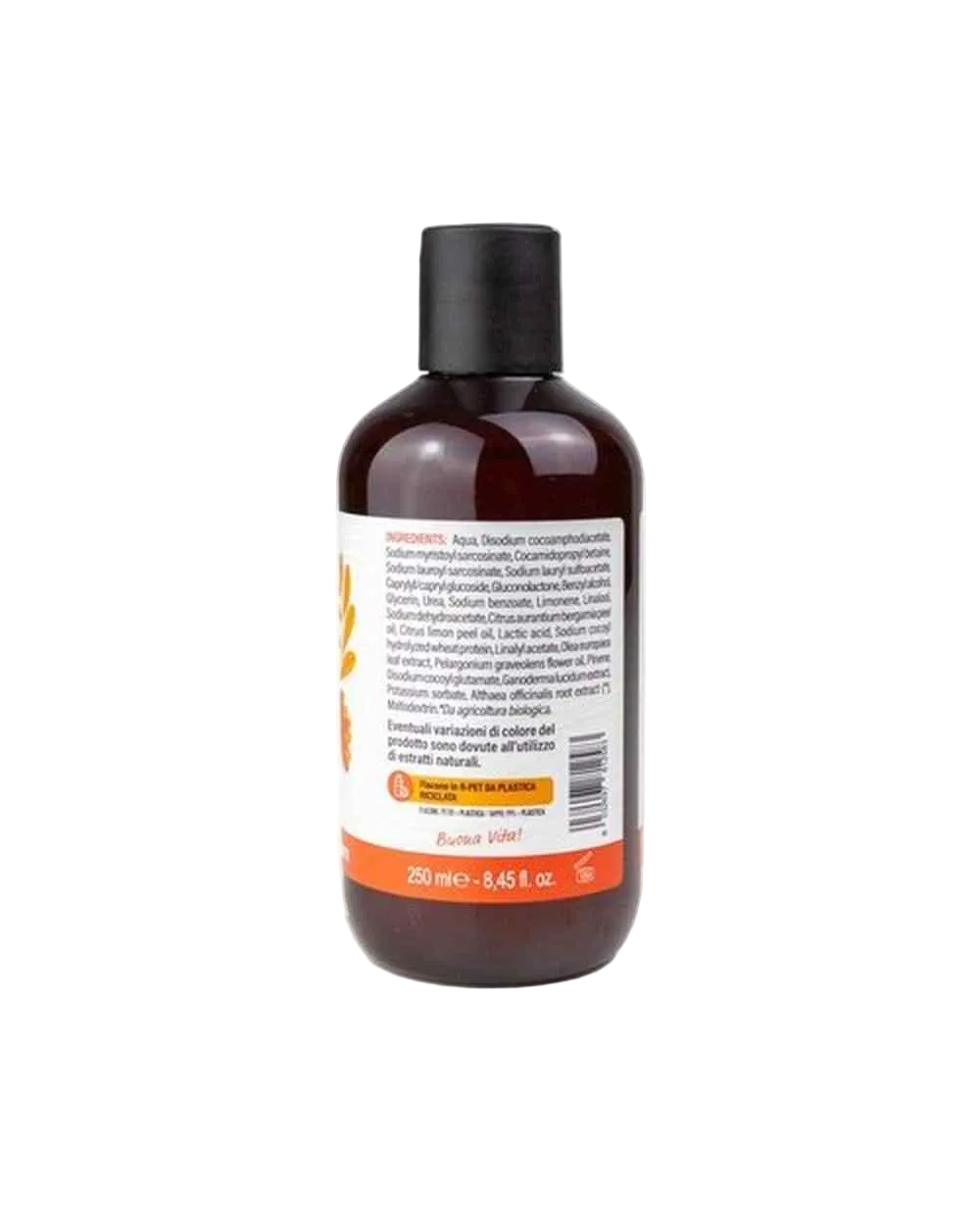 Shampoo Nutriente Hair Care - TeaNatura