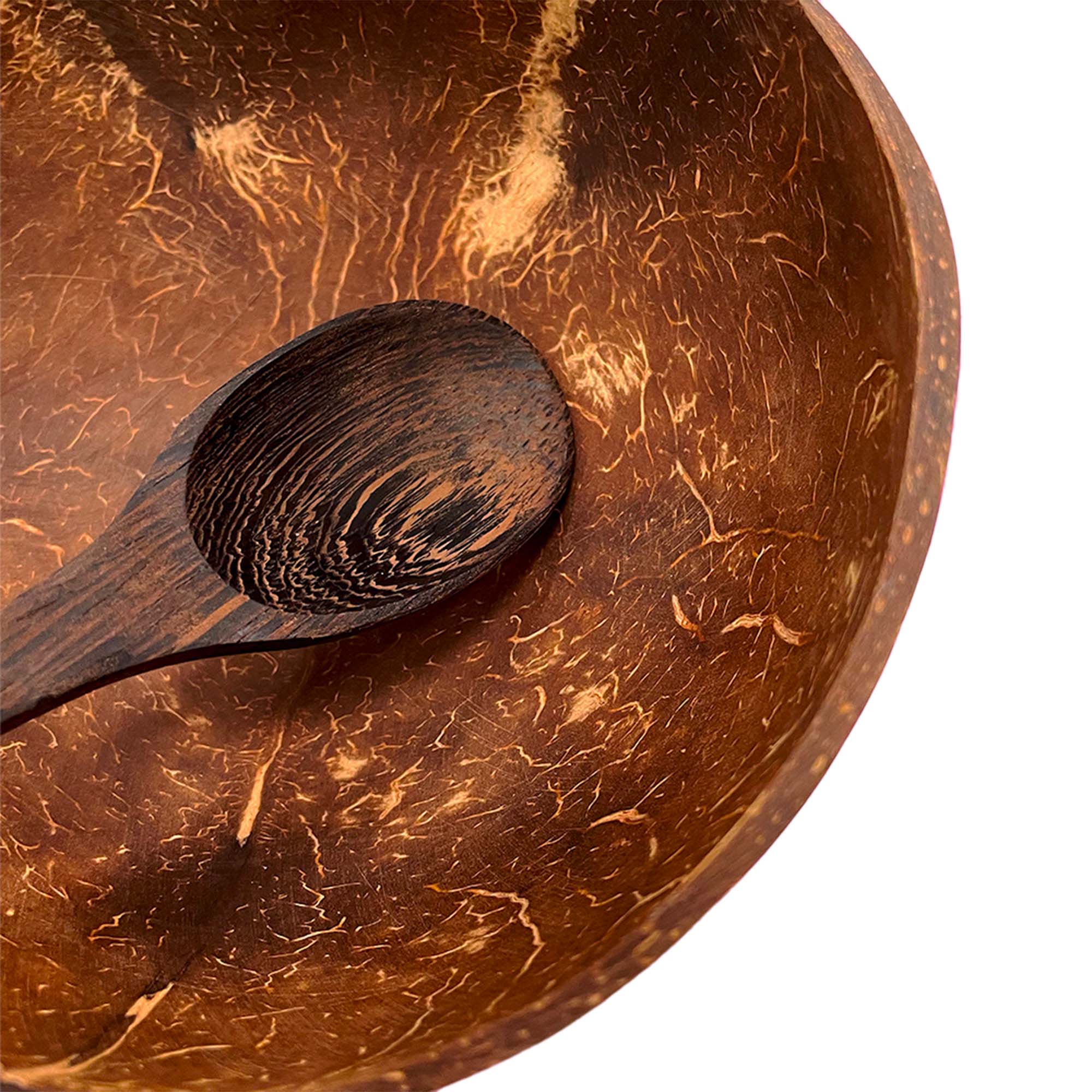 Cocco Bowl Artigianali iHEALTHY: Set Ciotola e Cucchiaio Eco-Friendly per i Tuoi Piatti