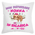 Cuscino Non Disturbare Nonna In Ricarica