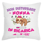 Cuscino Non Disturbare Nonna In Ricarica