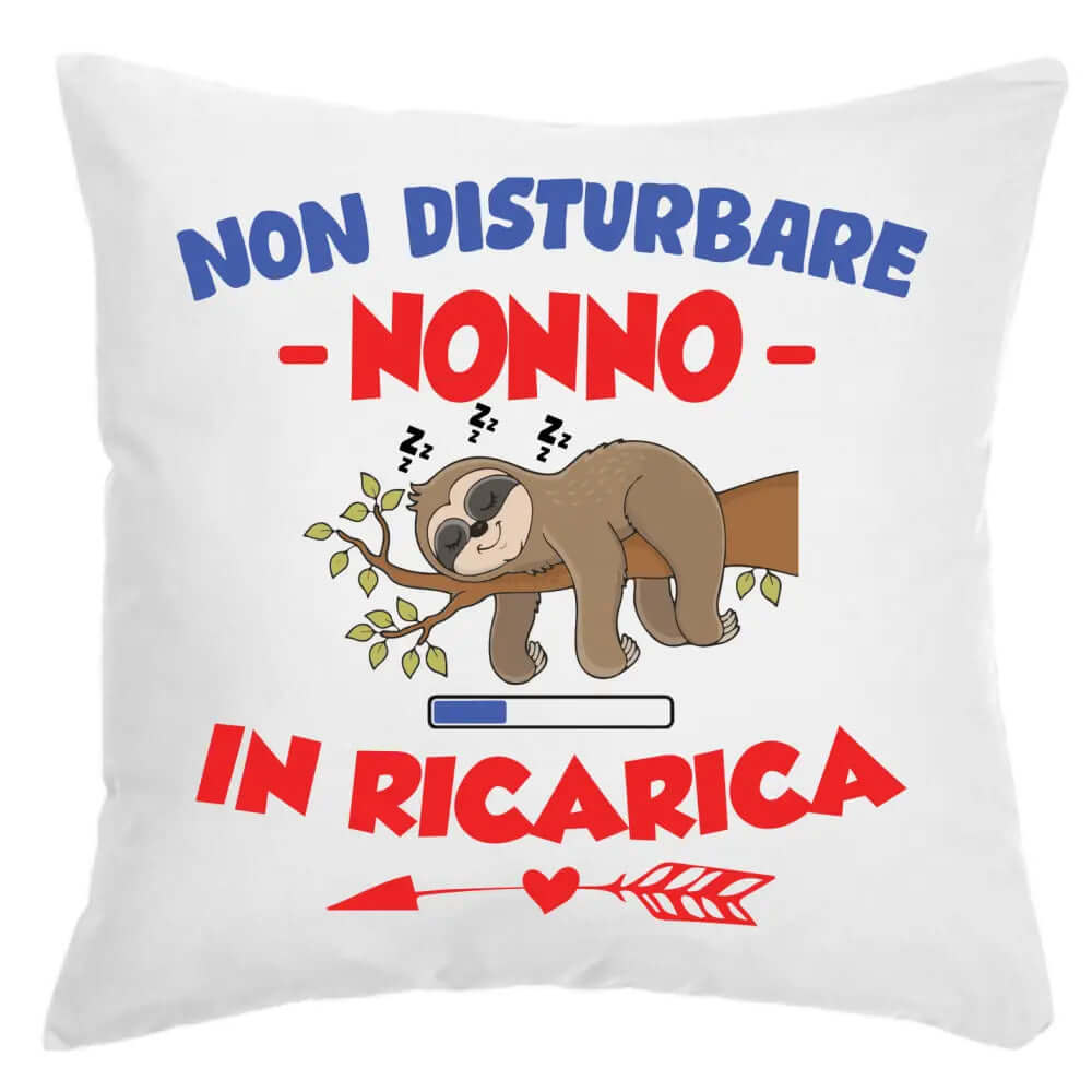 Cuscino Non Disturbare Nonno In Ricarica