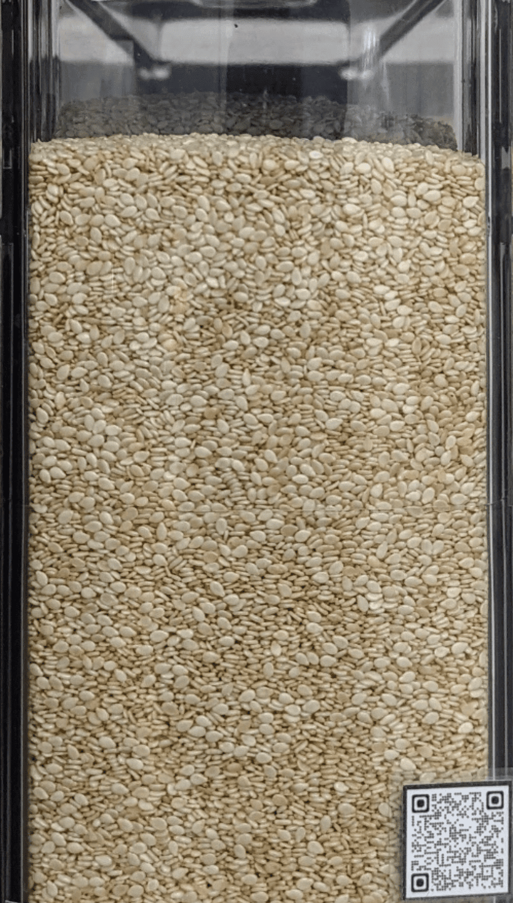 Sesamo semi Premium Quality - Del Colle