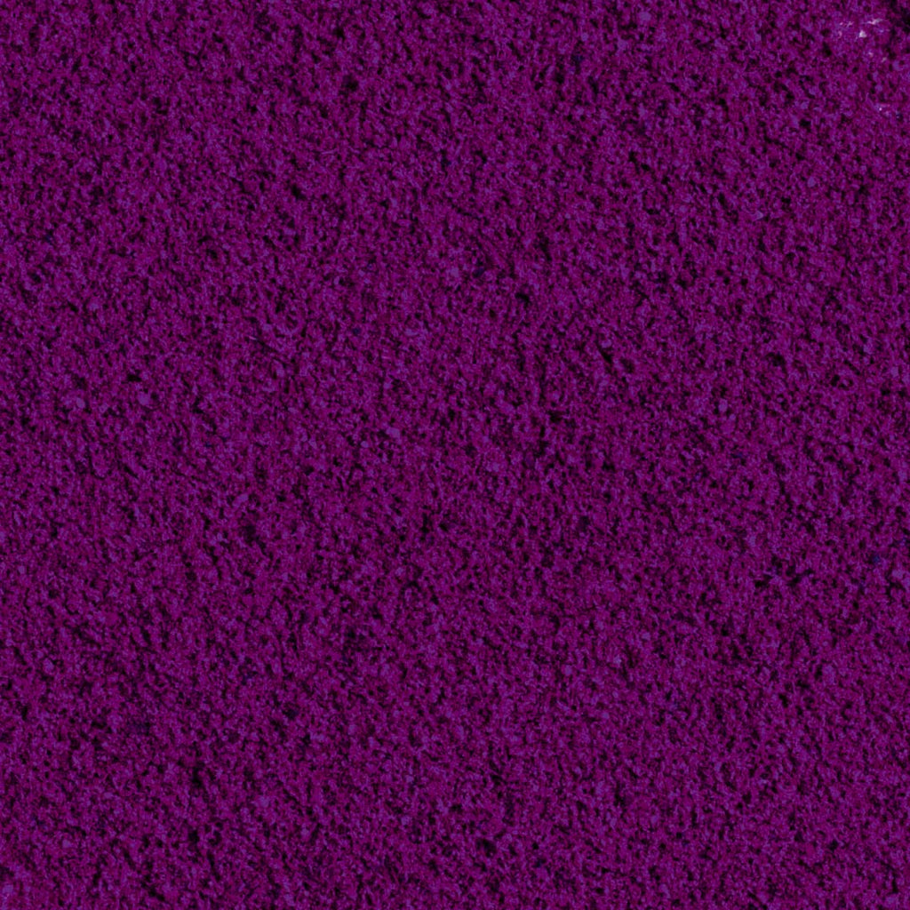 100% Ribes Nero liofilizzato in polvere BIO - 100g