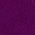 100% Ribes Nero liofilizzato in polvere BIO - 100g