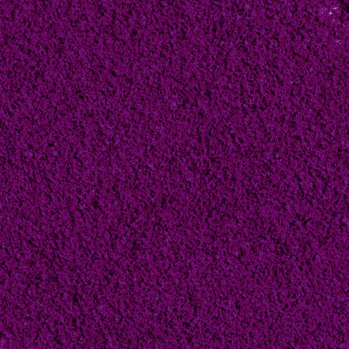 100% Ribes Nero liofilizzato in polvere BIO - 100g