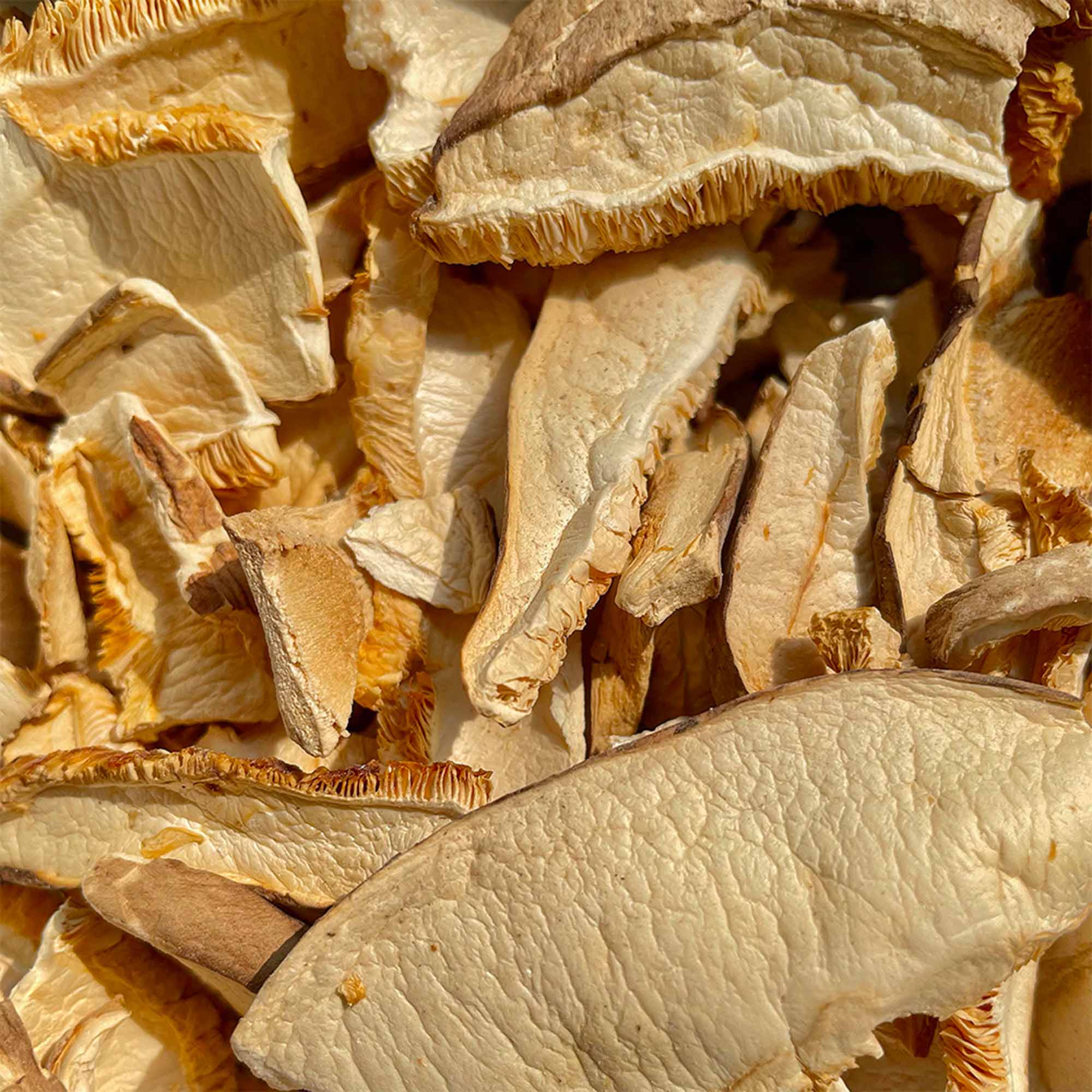 Funghi Shiitake Bio Secchi 20g - Ricchi di Vitamina D