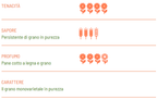 Penne BIO Senatore Cappelli - Girolomoni