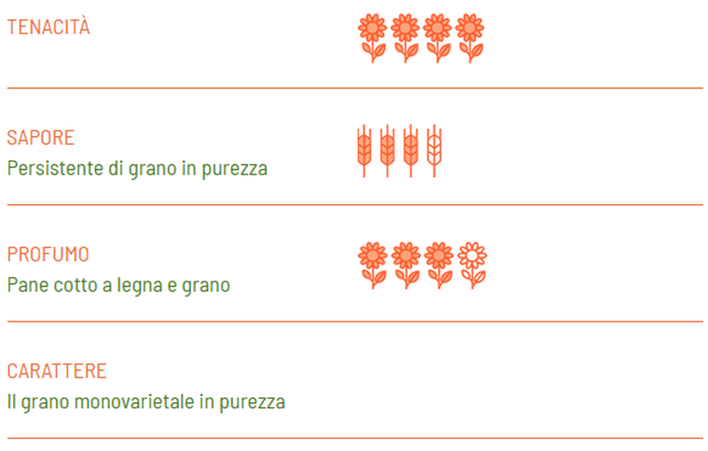 Strozzapreti BIO Senatore Cappelli - Girolomoni