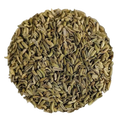 Finocchio semi Foeniculum Vulgare Qualità Superiore - Del Colle