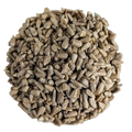 Girasole semi (Helianthus Annuus) Premium Quality - Del Colle