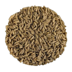 Avena decorticata integrale Prima Scelta (Avena Sativa) - Del Colle
