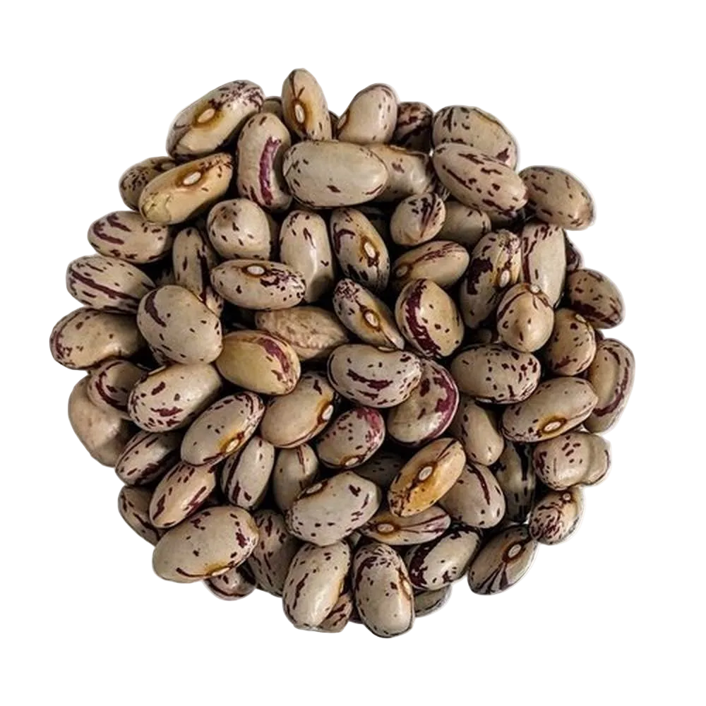 Borlotti fagioli BIOLOGICI Qualità Superiore - Del Colle