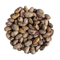 Borlotti fagioli BIOLOGICI Qualità Superiore - Del Colle