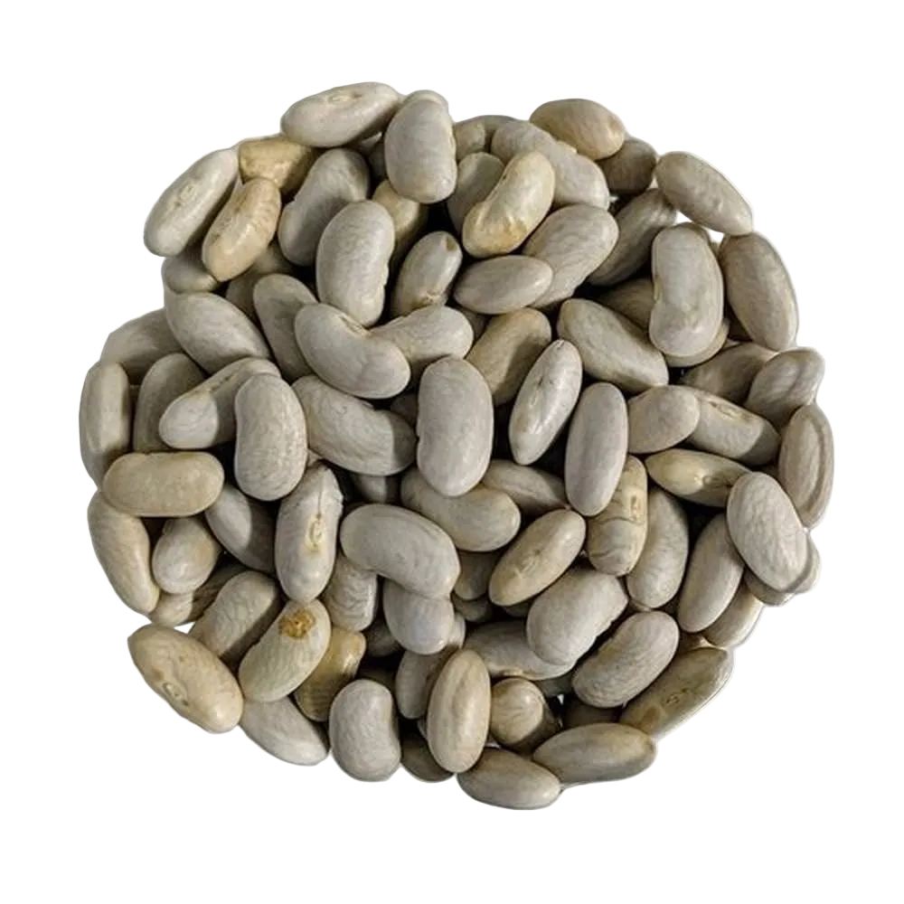 Cannellini fagioli BIOLOGICI Qualità Superiore - Del Colle