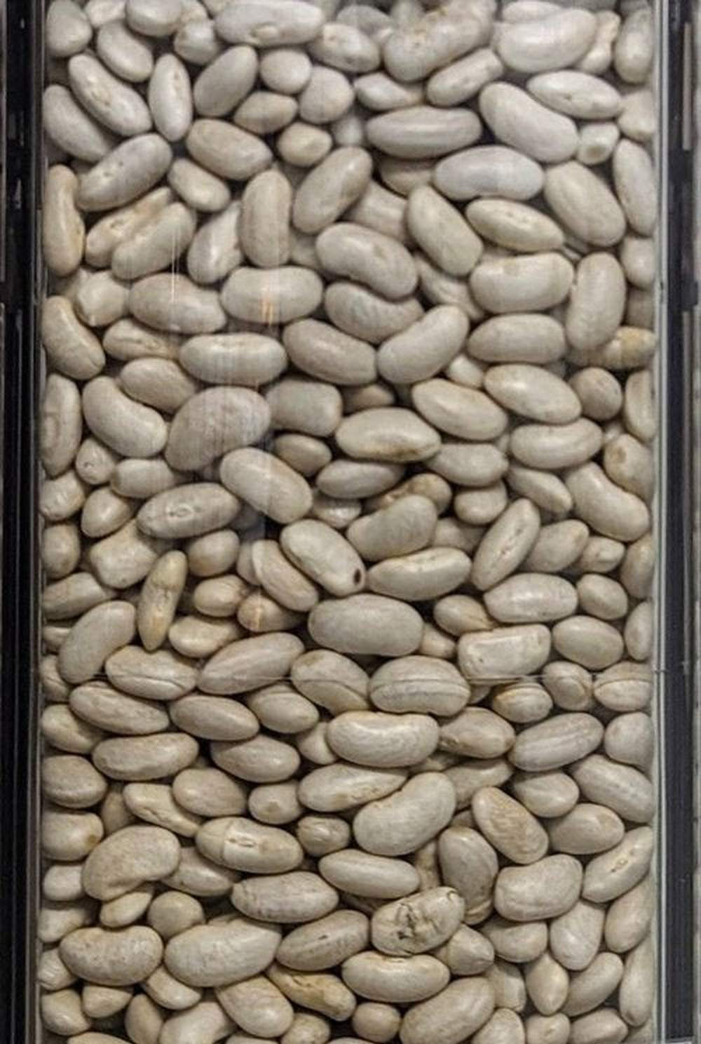 Cannellini fagioli BIOLOGICI Qualità Superiore - Del Colle