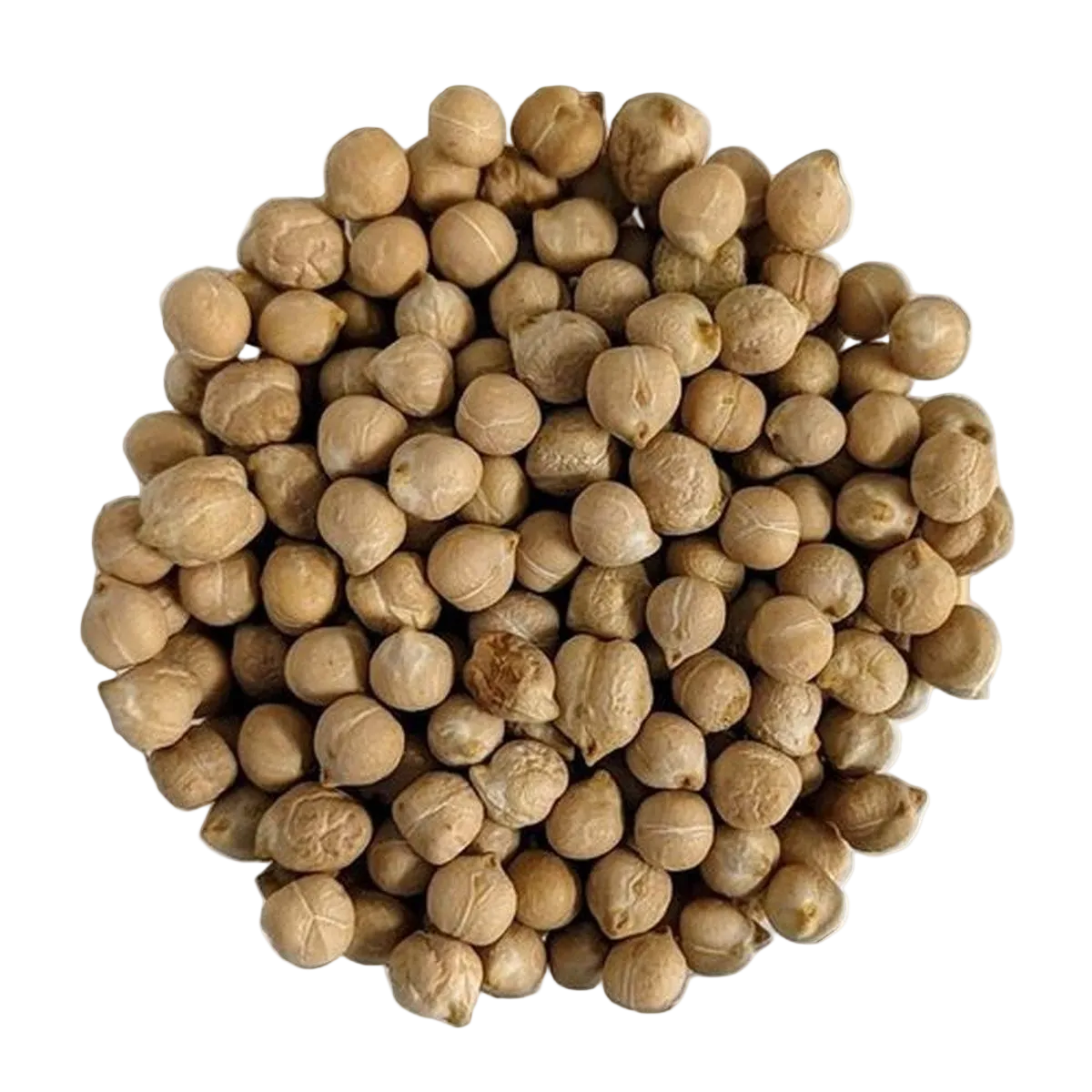 Ceci Toscani BIOLOGICI Prima Scelta - Del Colle