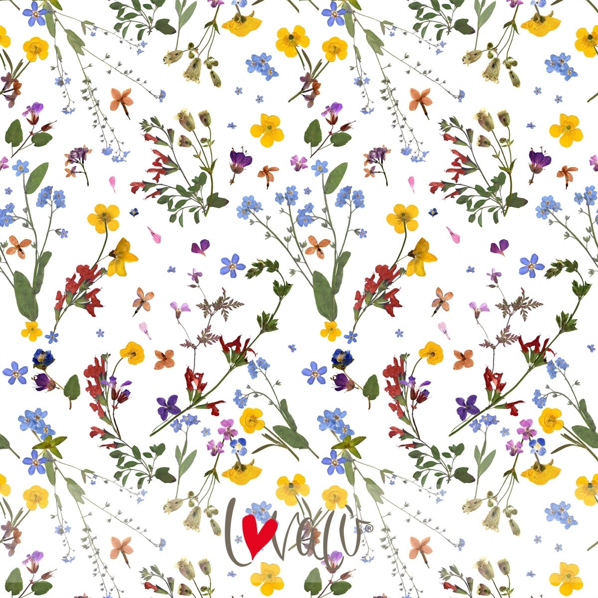 Dried Flowers Wallpaper - Herbolarium