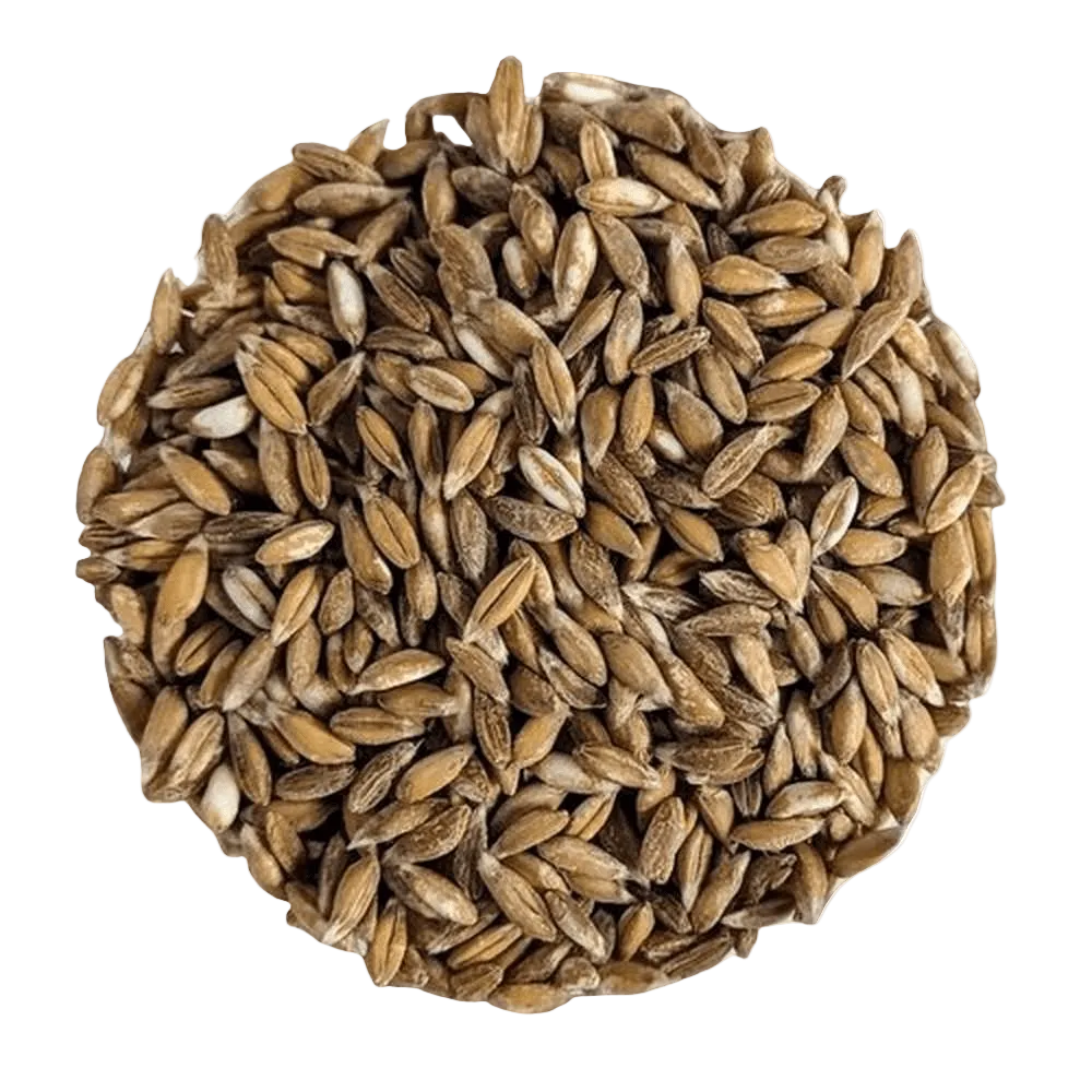 Farro integrale BIOLOGICO Premium Quality - Del Colle