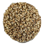 Farro perlato BIOLOGICO Premium Quality - Del Colle