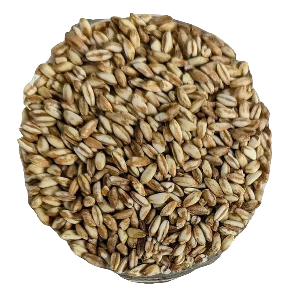 Farro perlato BIOLOGICO Premium Quality - Del Colle
