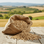 Farro perlato BIOLOGICO Premium Quality - Del Colle