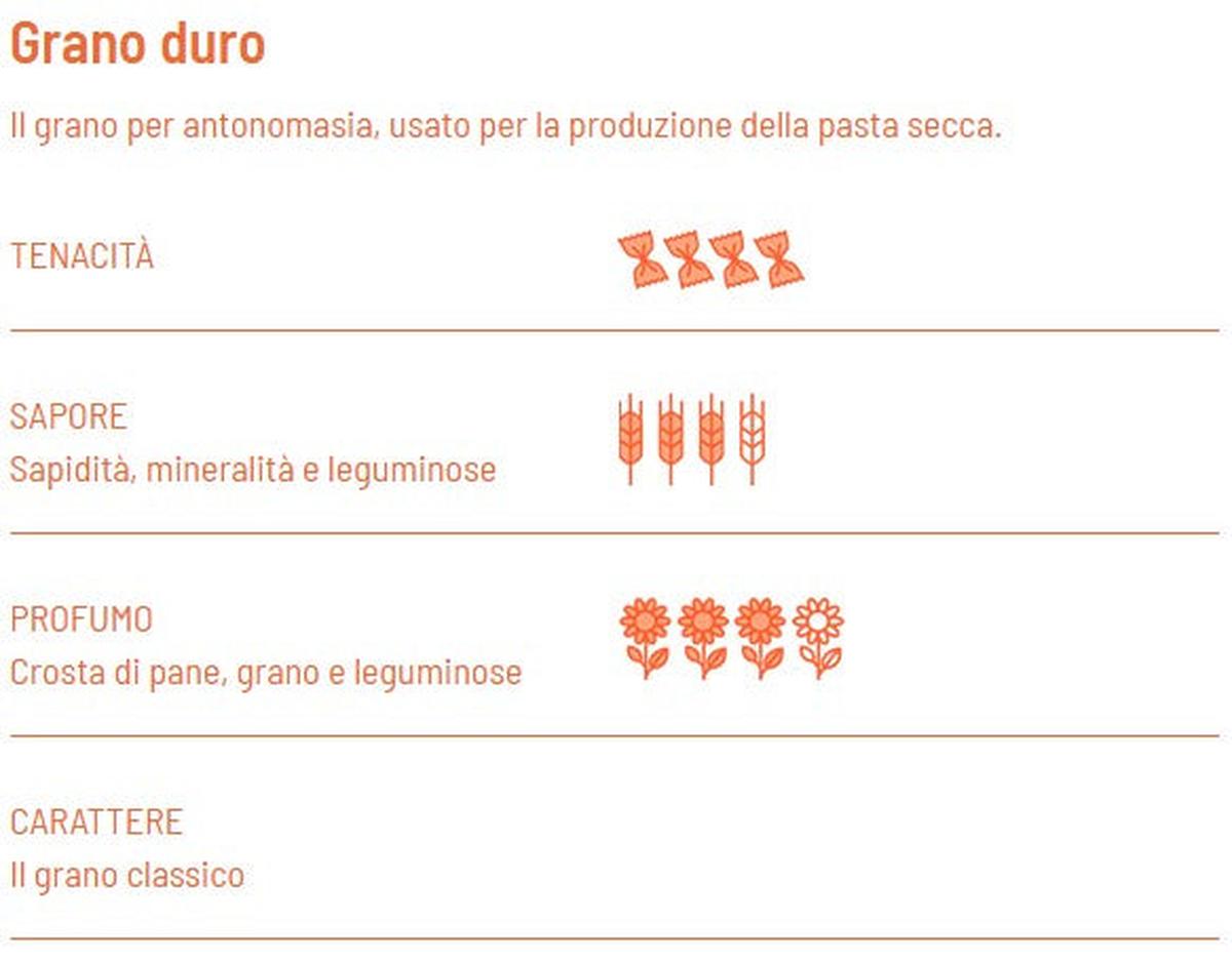 Bucatini BIO trafilatura ruvida - Girolomoni