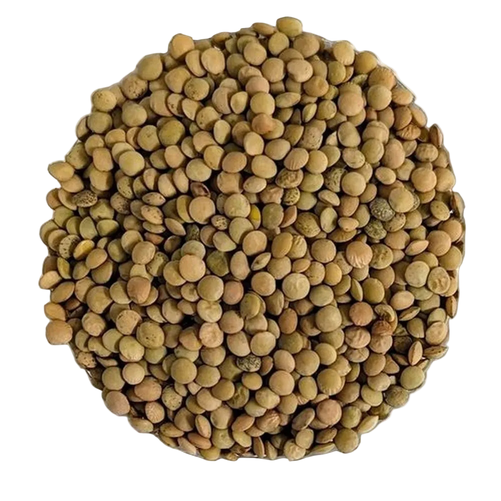 Lenticchie Verdi BIO Qualità Superiore - Del Colle