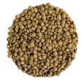 Lenticchie Verdi BIO Qualità Superiore - Del Colle