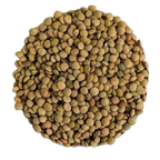 Lenticchie Verdi BIO Qualità Superiore - Del Colle