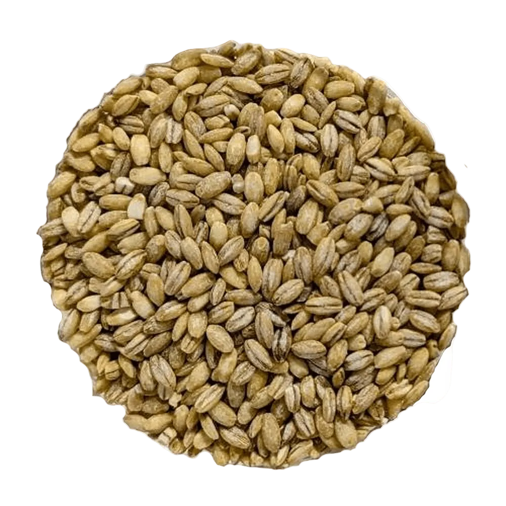 Orzo perlato BIOLOGICO Premium Quality - Del Colle
