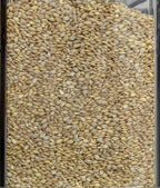 Orzo perlato BIOLOGICO Premium Quality - Del Colle