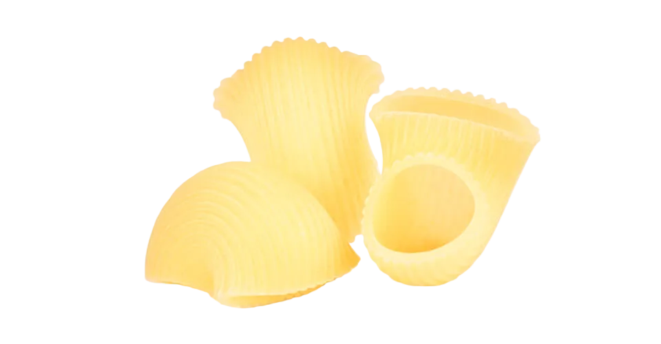 Conchiglie rigate BIO - Girolomoni