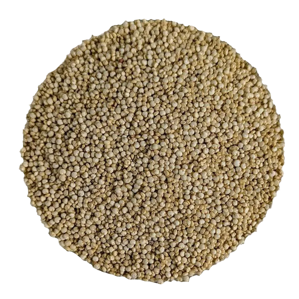 Quinoa Bianca Reale - Del Colle
