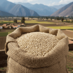 Quinoa Bianca Reale - Del Colle