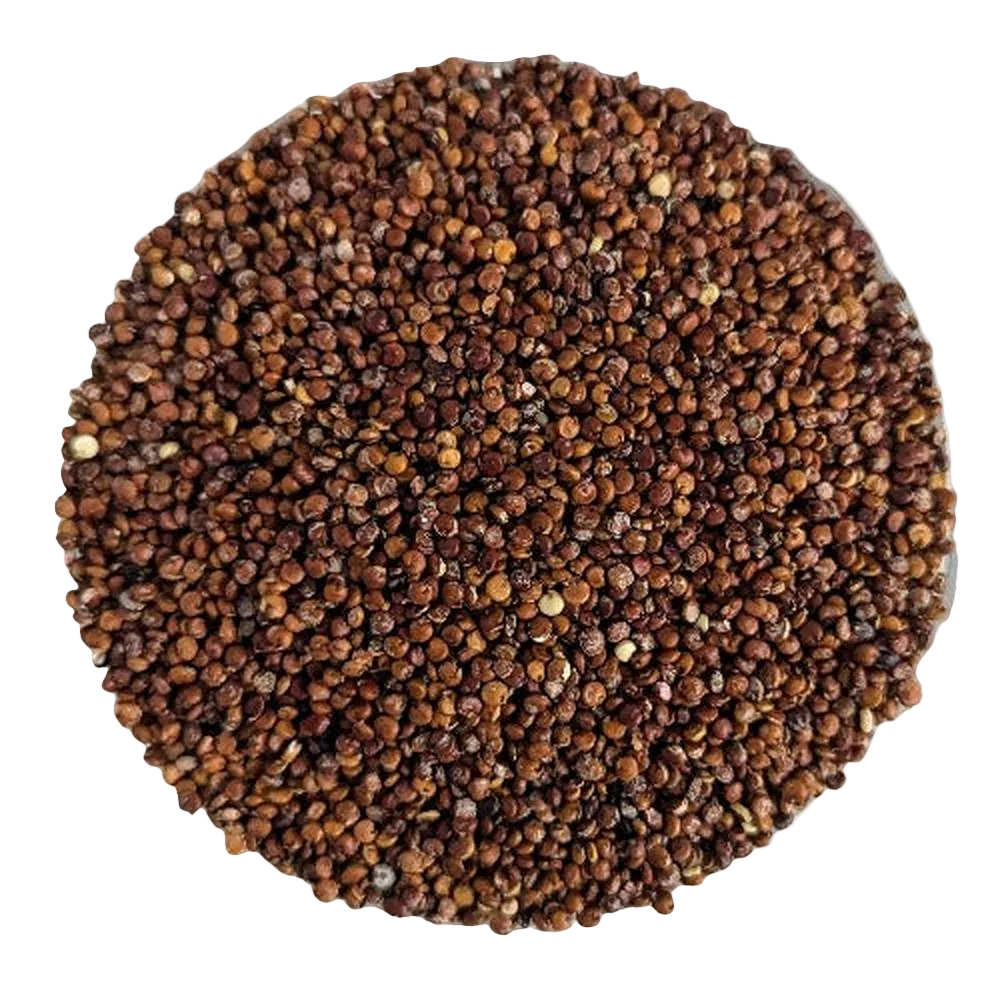 Quinoa Rossa Andina - Del Colle