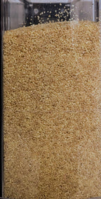 Cous Cous integrale BIOLOGICO - Del Colle