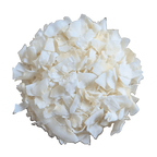Cocco fette
