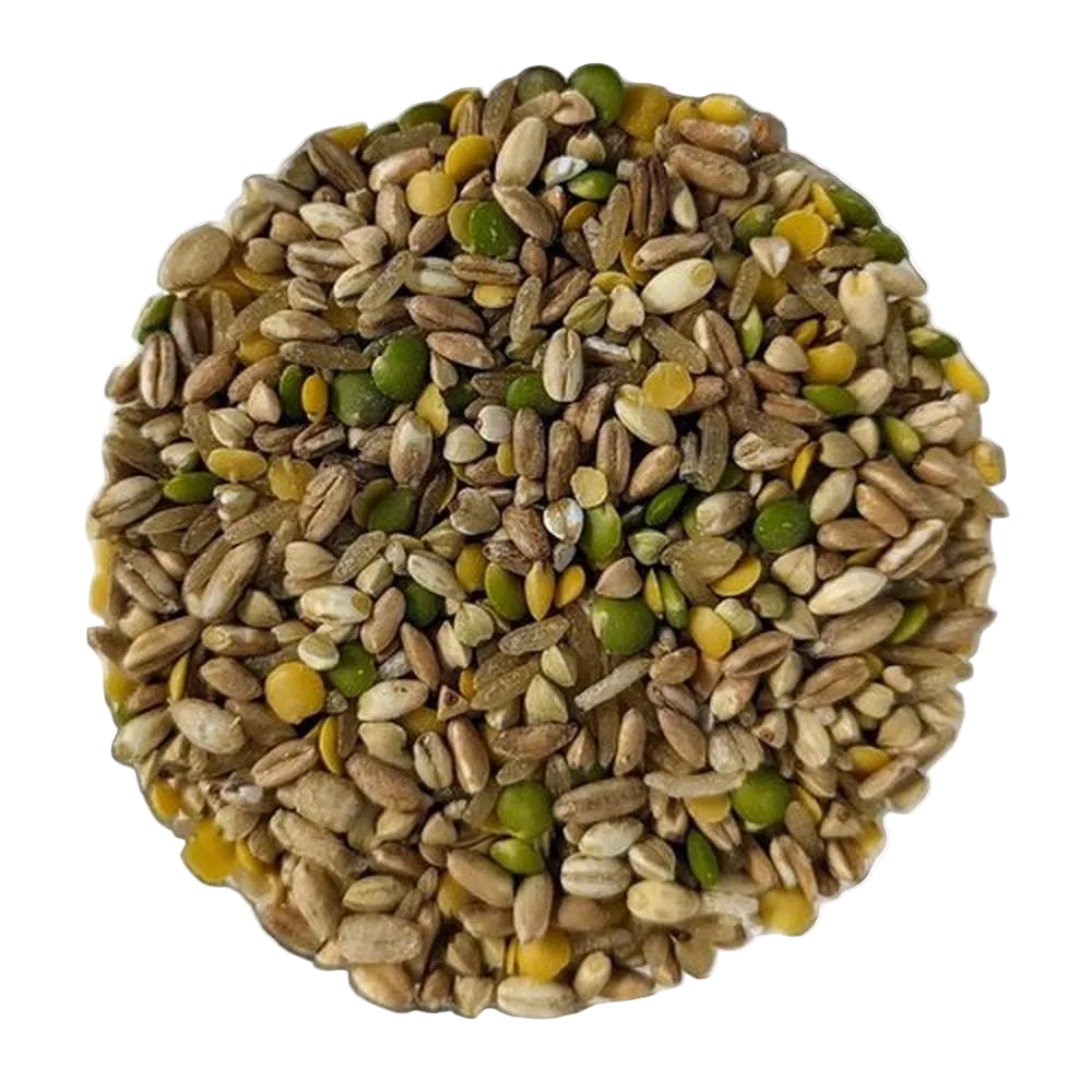 Sfiziosa Antichi Cereali - Del Colle