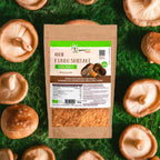 Polvere di Fungo Shiitake Bio 100g - Superfood
