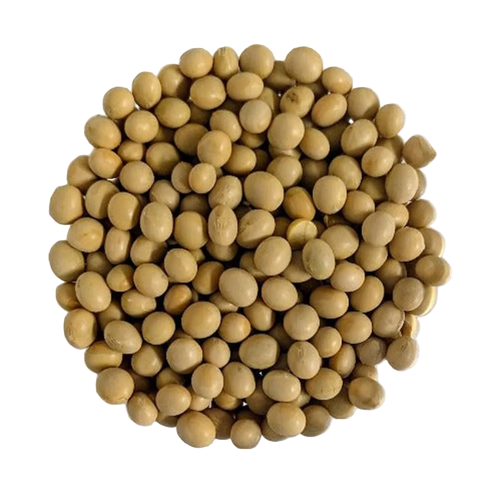 Soia Gialla BIOLOGICA intera Prima Scelta - Del Colle
