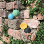 Spugna Konjac