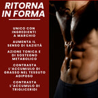 Termogenico THERMOFAT®